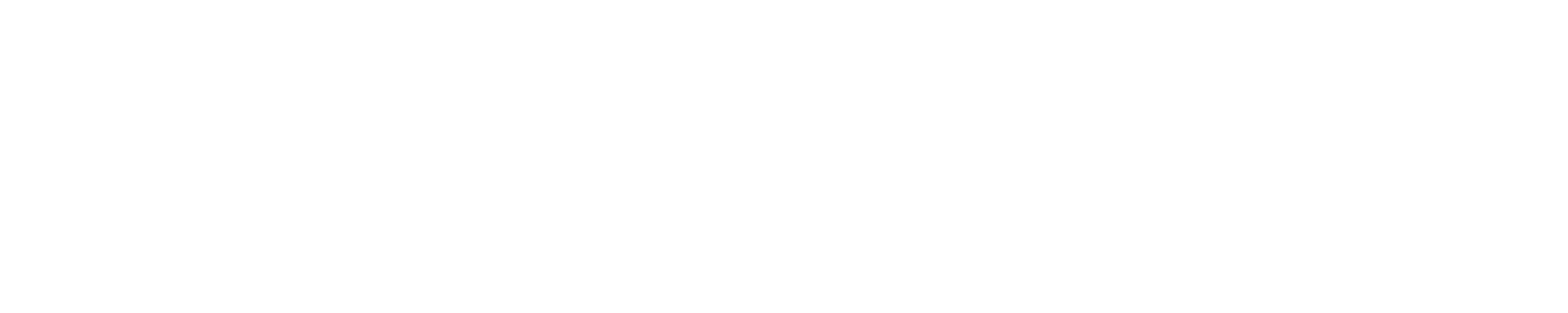 JRS Toulouse